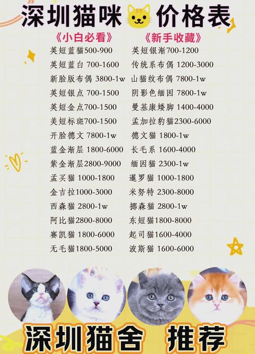 5到10元白猫香烟批发渠道【白猫香烟是什么地方产的】